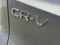 2027 Honda CR-V EX-L In-Transit