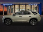 2026 Honda Pilot TrailSport In-Transit