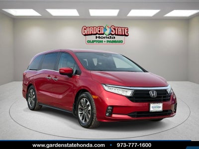 2023 Honda Odyssey EX-L