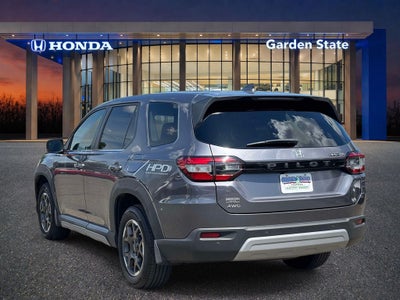 2024 Honda Pilot EX-L 8 Passenger