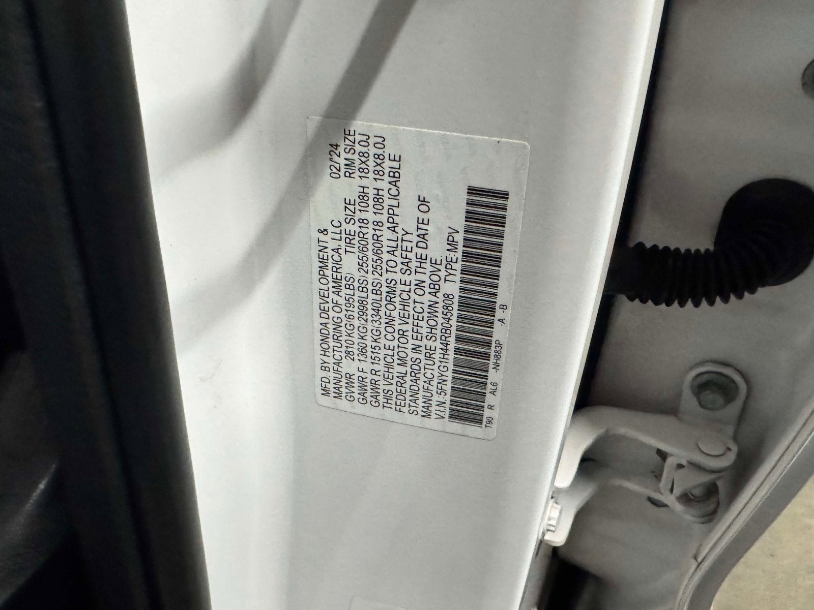 2024 Honda Pilot EX-L 8 Passenger