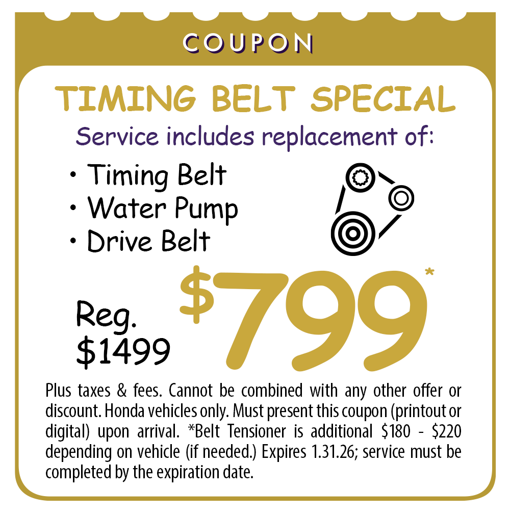 Timing Belt Special